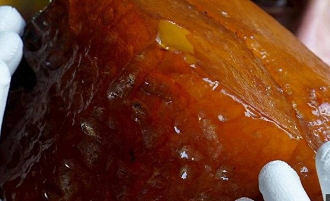 Phát hiện khối hổ phách hàng triệu năm tuổi đời, giá trị cực khủng - ảnh 1