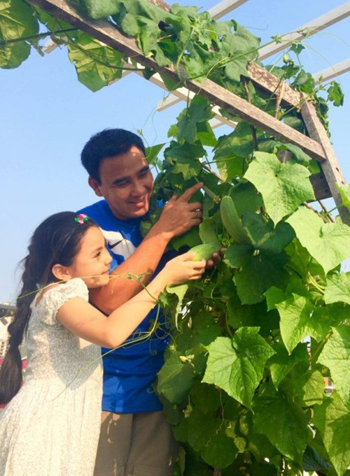 vườn rau nhà quyền linh - ảnh 10
