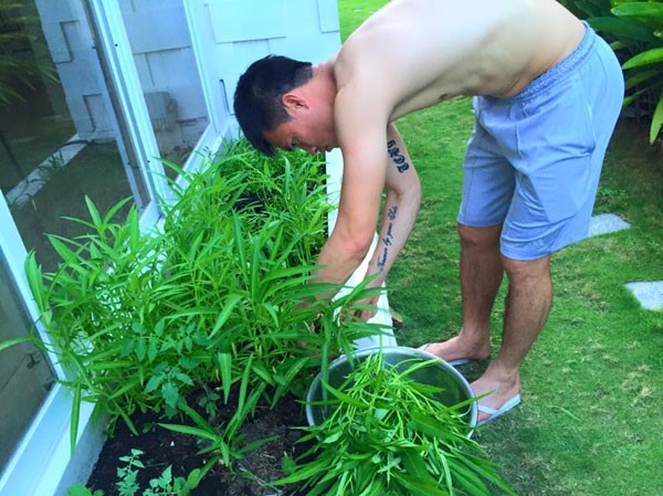 vườn rau nhà quyền linh - ảnh 16