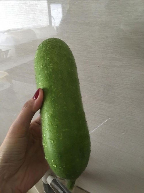 vườn rau nhà quyền linh - ảnh 22