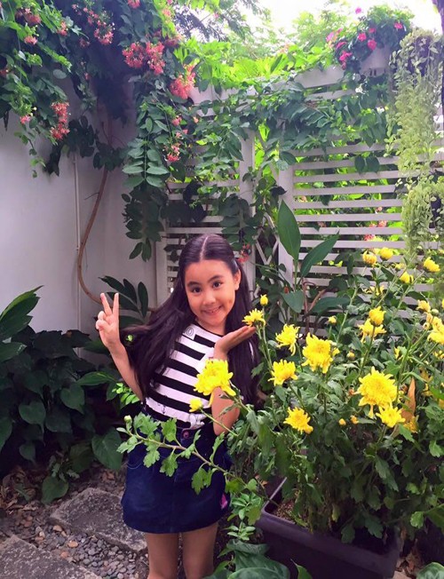 vườn rau nhà quyền linh - ảnh 5