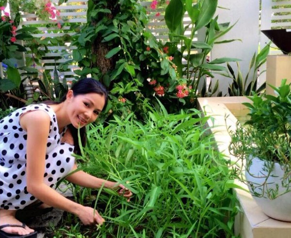 vườn rau nhà quyền linh - ảnh 8