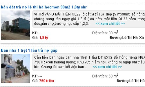 Đất nền Sài Gòn quay đầu giảm giá - ảnh 1