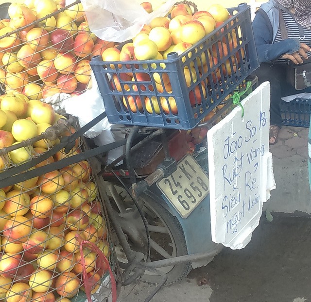 “Đội lốt” hàng Việt, đào, mận Trung Quốc tràn ngập phố - ảnh 1
