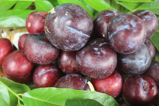 “Đội lốt” hàng Việt, đào, mận Trung Quốc tràn ngập phố - ảnh 2
