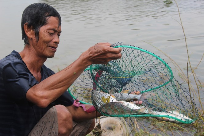 Hàng trăm người đổ xô bắt cá 'khủng' ở thủy điện Trị An - ảnh 7