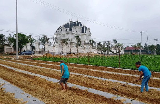 Tòa lâu đài tráng lệ - ảnh 4