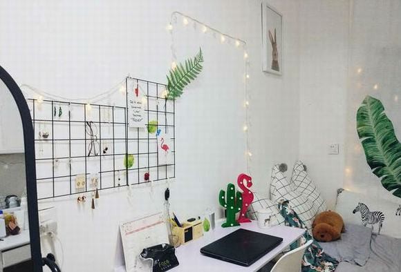 Chỉ với 7 triệu, cô gái biến phòng trọ bẩn thỉu thành nơi sống như mơ - ảnh 11