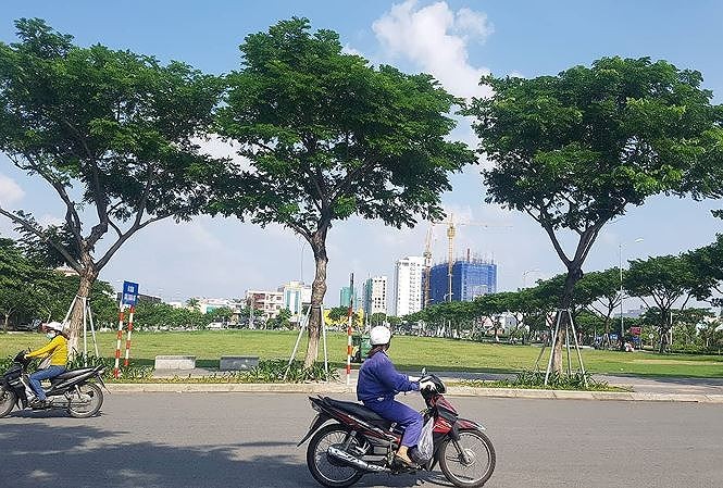 Thanh tra Dự án The Diamond Park - ảnh 6