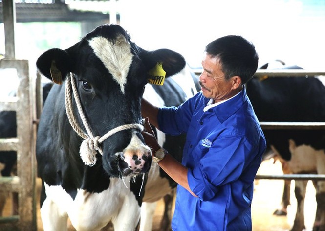 Lão nông trên đỉnh núi canh 'kho báu' 500 tỷ giấu dưới tán rừng già - ảnh 1