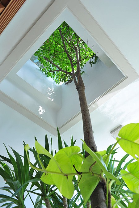 Nhà phố 1 tầng 1 tum tuyệt đẹp chi phí chỉ 700 triệu đồng - ảnh 6