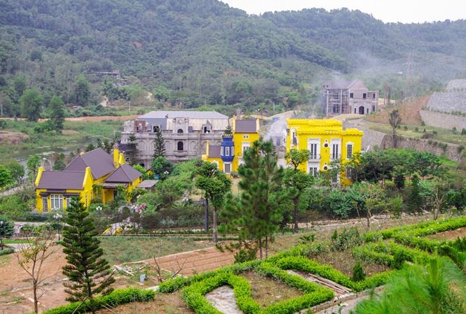 Tàn phá rừng Sóc Sơn: Những ai phải chịu trách nhiệm? - ảnh 1
