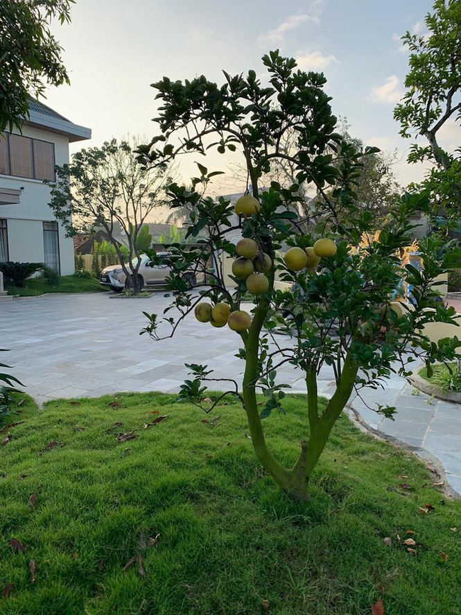 Nhà 1,5 tỷ đồng thiết kế đẹp như biệt thự hạng sang - ảnh 7