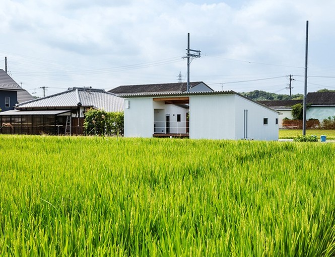 Nhà một tầng siêu đẹp giữa cánh đồng, chan hòa với thiên nhiên - ảnh 1
