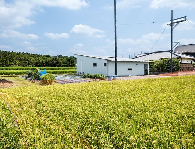 Nhà một tầng siêu đẹp giữa cánh đồng, chan hòa với thiên nhiên - ảnh 3