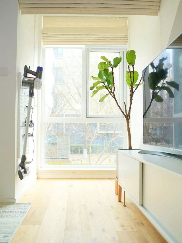 Căn hộ 40m2 rộng thoáng,đẹp long lanh đến bất ngờ nhờ nội thất trắng - ảnh 1