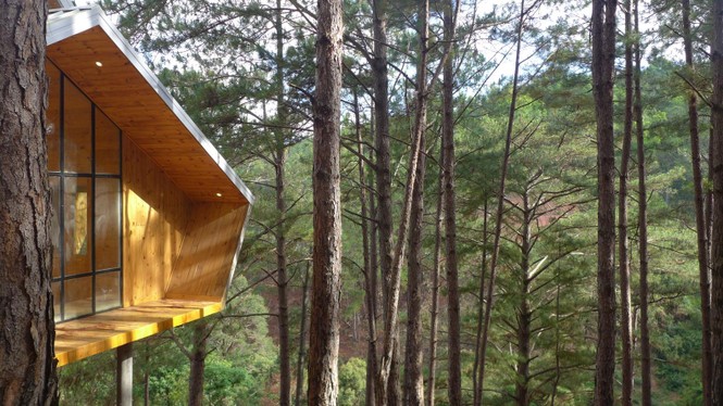 Nhà gỗ 'ghé' lưng đồi, lãng mạn trong thung lũng Đà Lạt - ảnh 8