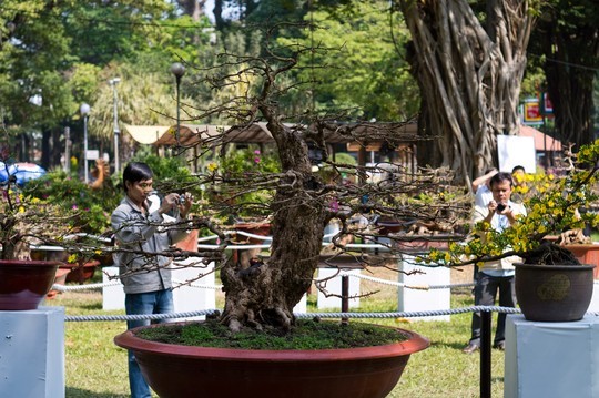 Đại gia miền Tây đem gần 3 tỉ đồng “đãi” dân Sài Gòn - ảnh 2