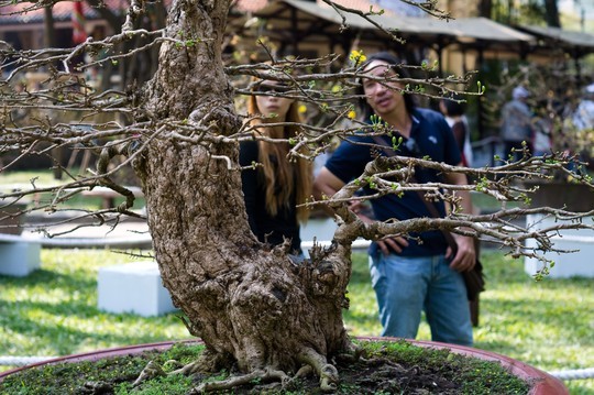 Đại gia miền Tây đem gần 3 tỉ đồng “đãi” dân Sài Gòn - ảnh 5