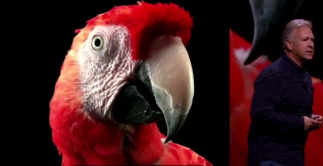 iPhone 6S và 6S Plus trình làng, thêm phiên bản màu vàng hồng - ảnh 6