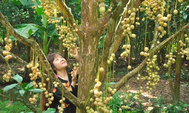 Tái hiện chợ nổi trên sông - ảnh 7