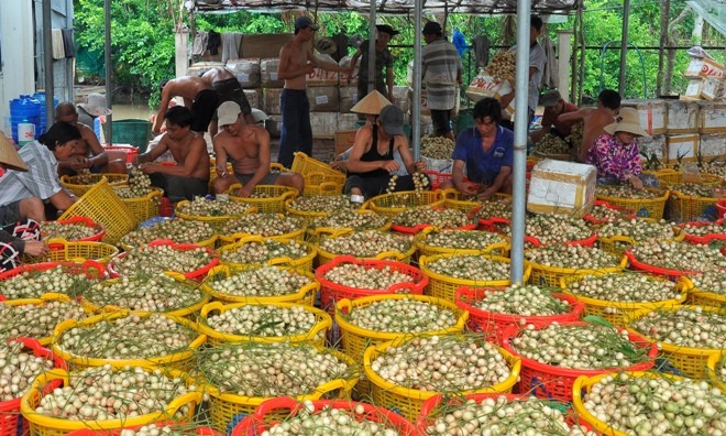 Tái hiện chợ nổi trên sông - ảnh 8