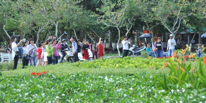 Giới trẻ đội nắng chụp ảnh bên thác hoa lớn nhất Việt Nam - ảnh 3