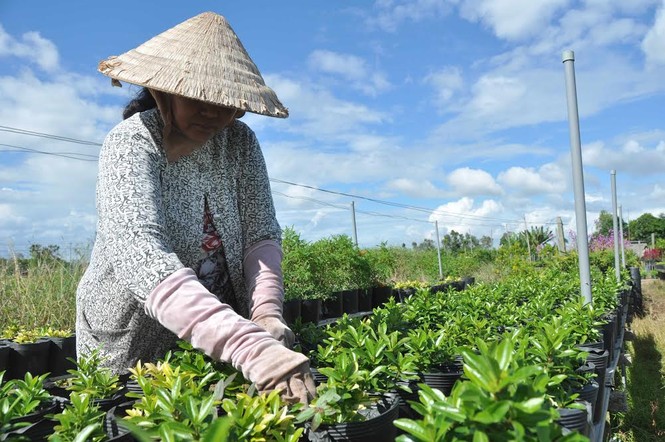 Giới trẻ đội nắng chụp ảnh bên thác hoa lớn nhất Việt Nam - ảnh 5