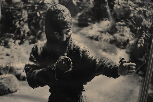 Bí ẩn về ninja 'nửa người nửa quỷ' Nhật Bản: Câu chuyện có thật - ảnh 3