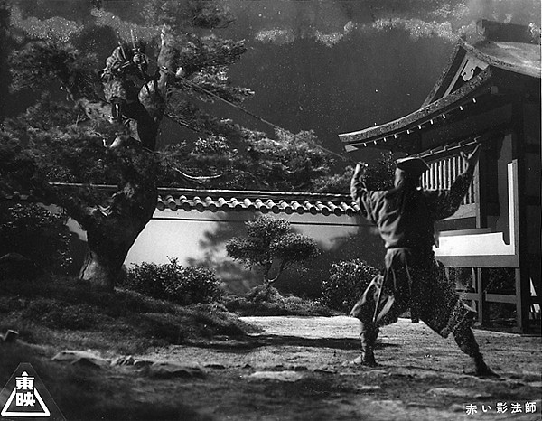 Bí ẩn về ninja 'nửa người nửa quỷ' Nhật Bản: Câu chuyện có thật - ảnh 6