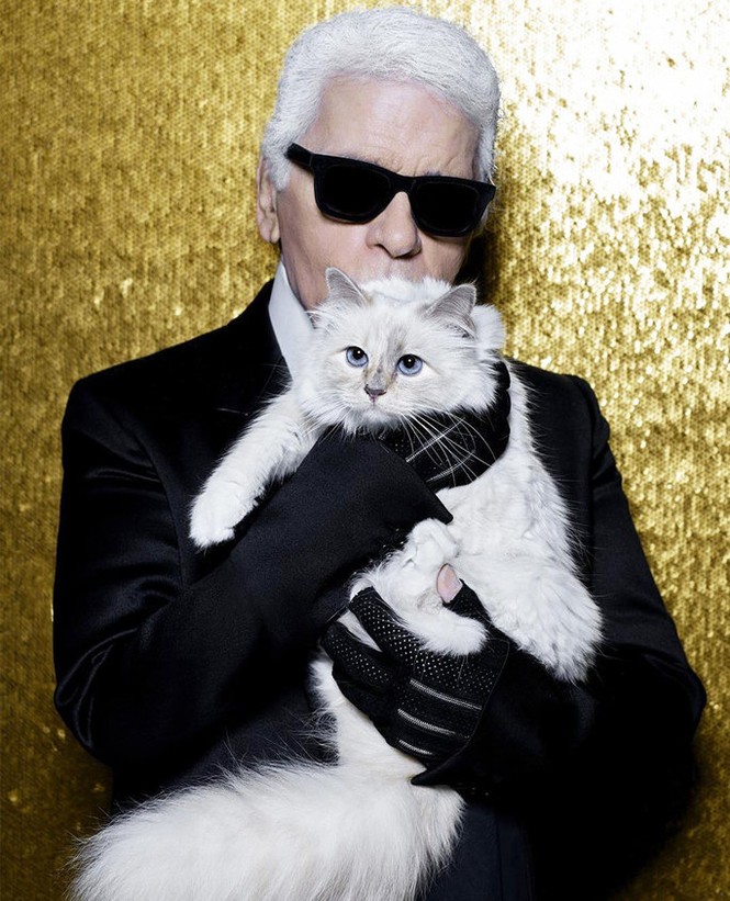 'Cô mèo' và những ai sẽ được hưởng tài sản của Karl Lagerfeld? - ảnh 1