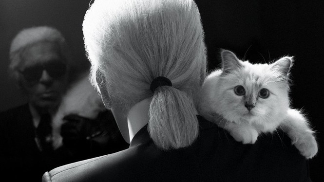 'Cô mèo' và những ai sẽ được hưởng tài sản của Karl Lagerfeld? - ảnh 3