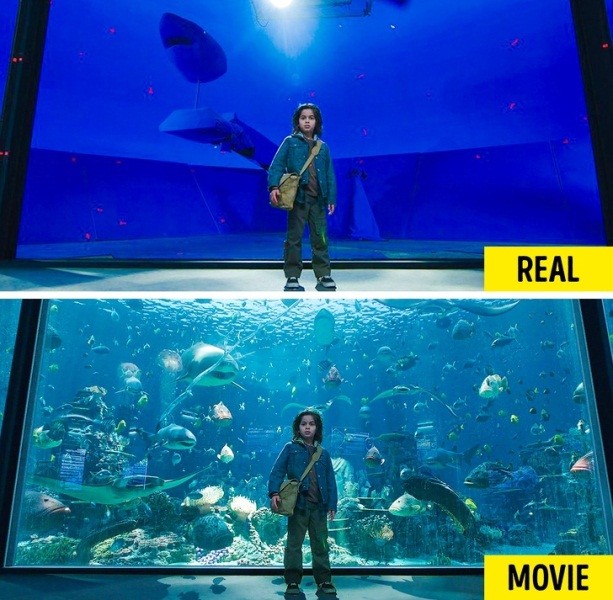 Sự thật ‘ngã ngửa’ đằng sau những cảnh phim hoành tráng của Hollywood - ảnh 1