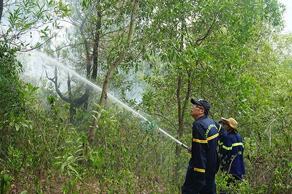 Rừng ở Đà Nẵng bốc cháy dữ dội, hơn 100 người tham gia dập lửa - ảnh 4
