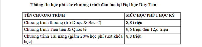 Khối ngành Kinh tế-Quản trị tại Đại học Duy Tân: Chưa bao giờ hết hot - ảnh 4