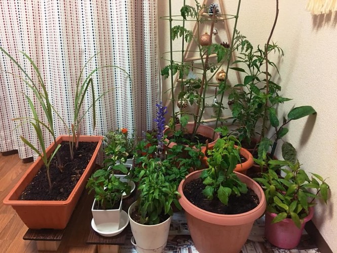 Nàng dâu Việt tiết lộ về cuộc sống vợ chồng trẻ ở Nhật - ảnh 6