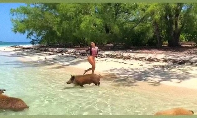 Diện bikini nóng bỏng tắm biển, Kim Kardashian bị đàn lợn ‘tấn công’ - ảnh 1