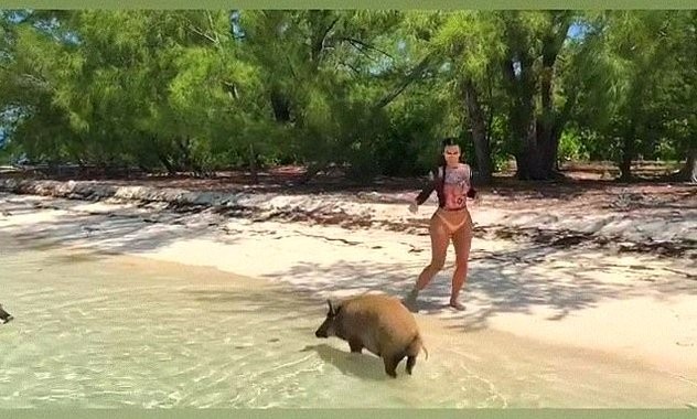Diện bikini nóng bỏng tắm biển, Kim Kardashian bị đàn lợn ‘tấn công’ - ảnh 3