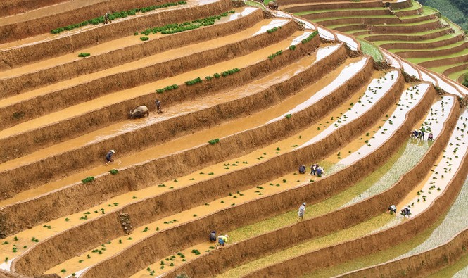 Việt Nam có 4 bức ảnh lọt top những khoảnh khắc ấn tượng nhất thế giới - ảnh 4