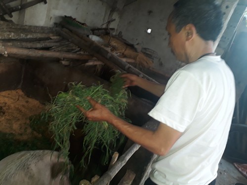 Chờ bồi thường oan sai, 'tử tù' Hàn Đức Long ngập trong nợ nần - ảnh 2