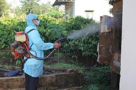 Nguy cơ côn trùng kháng hóa chất diệt ngày càng cao - ảnh 1