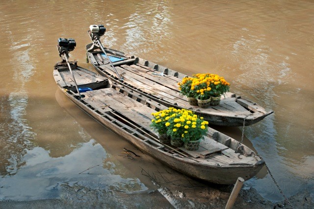 Dự thi ảnh: Chùm ảnh mùa xuân - ảnh 4