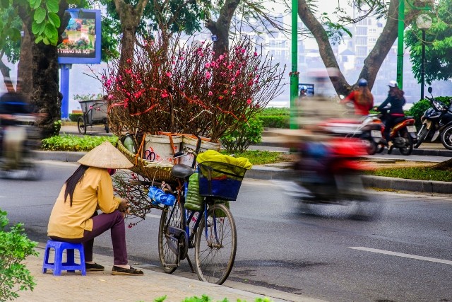 Dự thi ảnh: Xuân về muôn nơi - ảnh 2