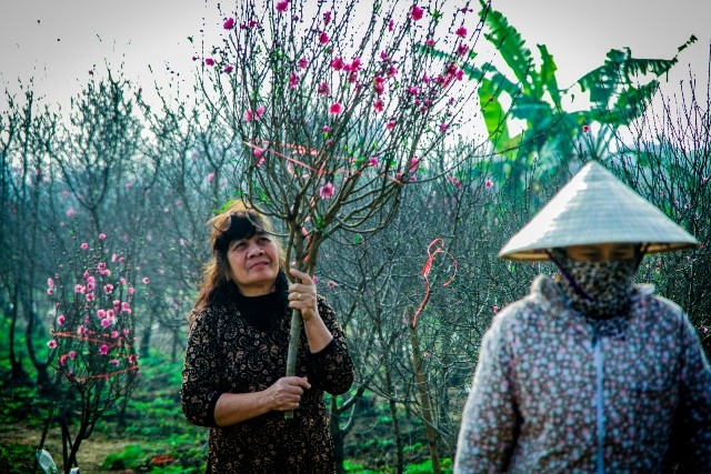 Dự thi ảnh: Xuân về muôn nơi - ảnh 4