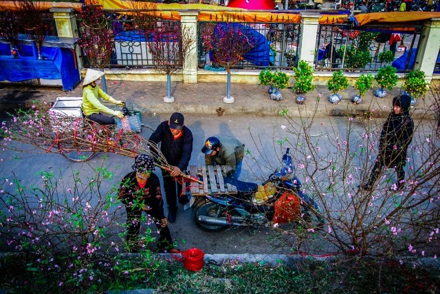 Dự thi ảnh: Xuân về muôn nơi - ảnh 6