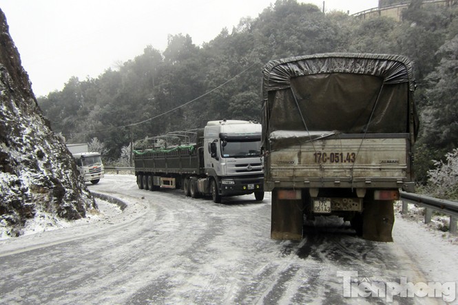 Sapa: Đường đóng băng, giao thông tê liệt - ảnh 1