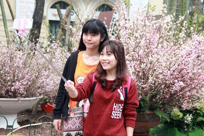 Hàng nghìn người chen chân ngắm hoa anh đào giữa Thủ đô - ảnh 10