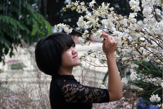 Hàng nghìn người chen chân ngắm hoa anh đào giữa Thủ đô - ảnh 7