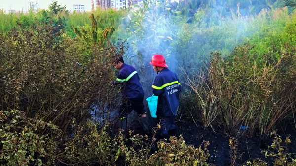 TPHCM: Liên tục cháy cánh đồng giữa khu dân cư quận 7 - ảnh 2