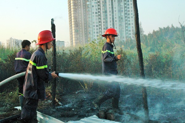 TPHCM: Liên tục cháy cánh đồng giữa khu dân cư quận 7 - ảnh 8